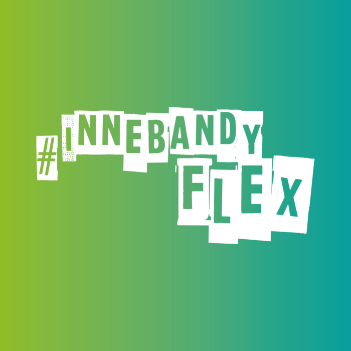 Bigtail galleri InnebandyFlex logo green background