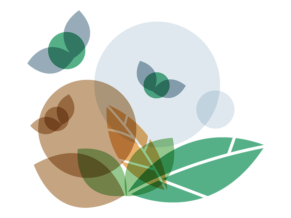 LRF Trädgård, Ökad konkurrenskraft vid extremväder – illustration skadedjur