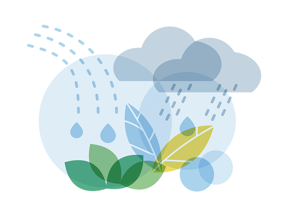 LRF Trädgård, Ökad konkurrenskraft vid extremväder – illustration regn